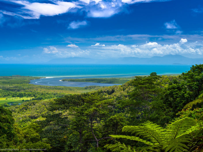 Daintree Forest - Queensland